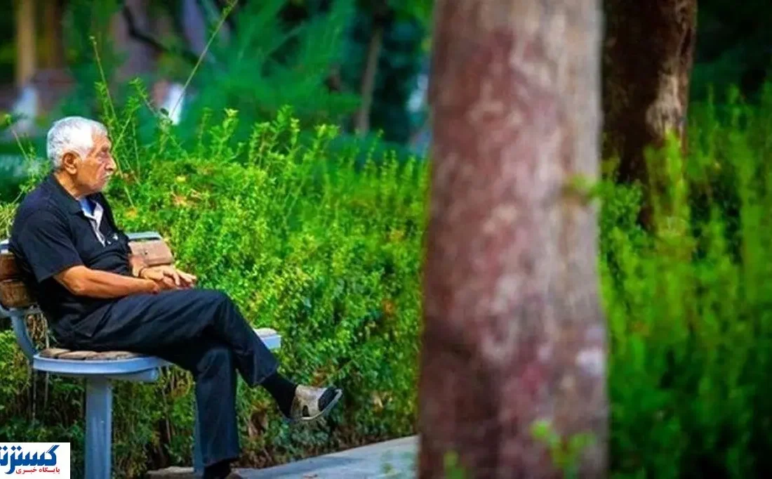 جلسه فوری مجلس و وزارت تعاون برای حل بحران بیمه تکمیلی بازنشستگان