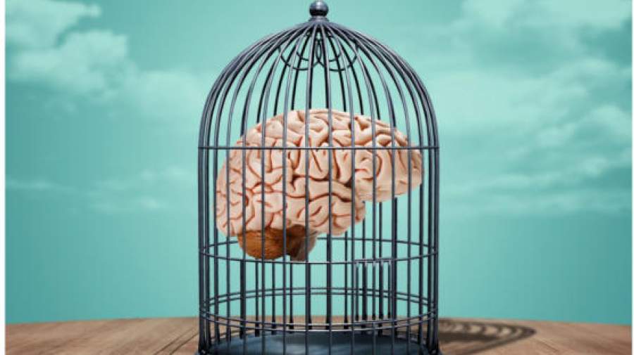 تصلب شناختی و انعطافپذیری ذهن