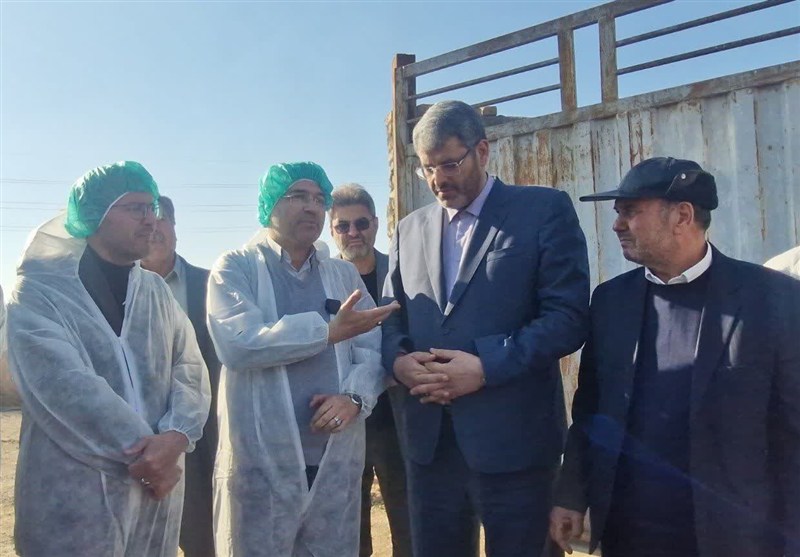 یک میلیون تن نهاده دامی در یک ماه گذشته ترخیص شد اخبار اسلامشهر , مجلس شورای اسلامی ایران , تولید ملی ,