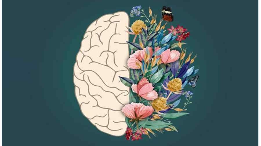 اصول اولیه درمان و مداخلات روانشناختی