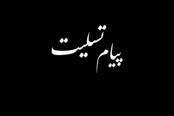 حجتالاسلام موسیپور درگذشت همسر انسیه خزعلی را تسلیت گفت