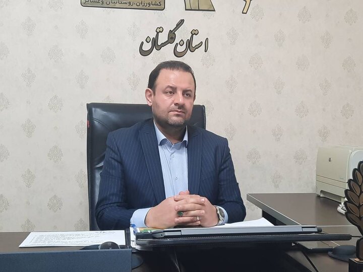 رشد۱۴درصدی بیمهشدگان و پرداخت ماهانه ۱۰۷میلیاردتومان مستمری در گلستان