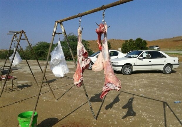 سلامت عمومی در خطر است؛ لزوم برخورد با کشتار غیرمجاز دام در کرمانشاه سلامت عمومی در خطر است؛ لزوم برخورد با کشتار غیرمجاز دام در کرمانشاه