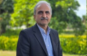 آغاز برداشت برگ سبز چای از اردیبهشت ماه/ افزایش 30 درصدی تولید