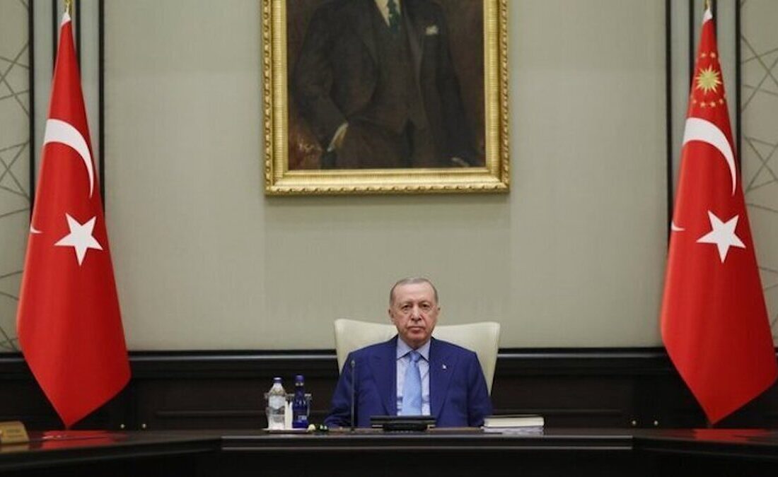 اردوغان استفاده از اسلحه در ترکیه را محدود میکند