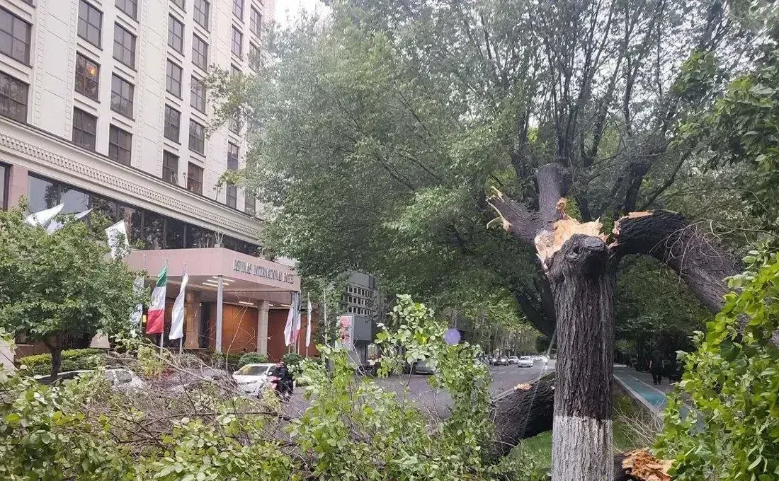 تازهترین آمار از تعداد مصدومان طوفان امروز در تهران