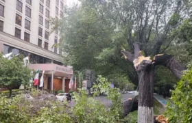 تازهترین آمار از تعداد مصدومان طوفان امروز در تهران