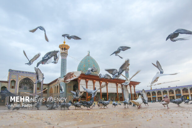 حضرت شاهچراغ(ع) پرچمدار جهاد تبیین است
