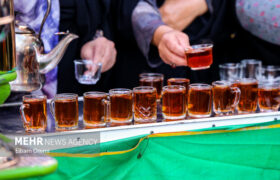 خدمترسانی ۸ موکب جادهای به حدود ۴ هزار زائر پیاده دهه کرامت در مشهد