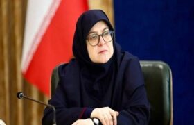 دیپلماسی و میدان دو راهبرد مکمل برای حفظ منافع ملی کشورمان هستند