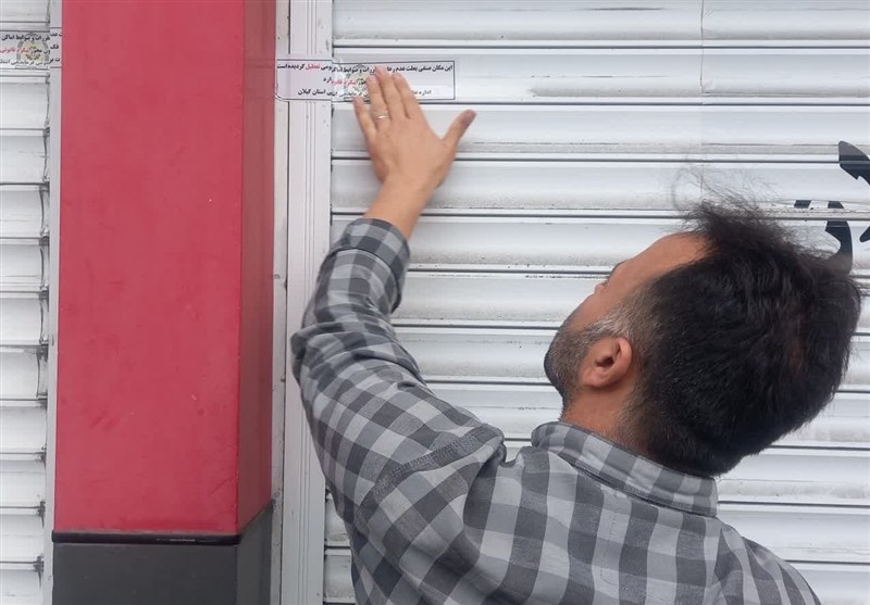 سود مرغفروشیها از 10 درصد به 7 درصد کاهش یافت