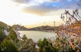 طراوت عینالی و رقص شکوفهها؛ ثبت قابهای امیدبخش فردای بارش بهاری