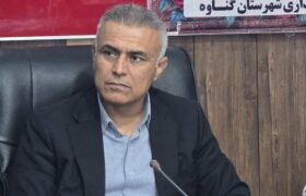 فرماندارگناوه:پرداخت تسهیلات به افرادتحت پوشش نهادهای حمایتی تسهیل شود