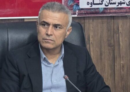 فرماندارگناوه:پرداخت تسهیلات به افرادتحت پوشش نهادهای حمایتی تسهیل شود