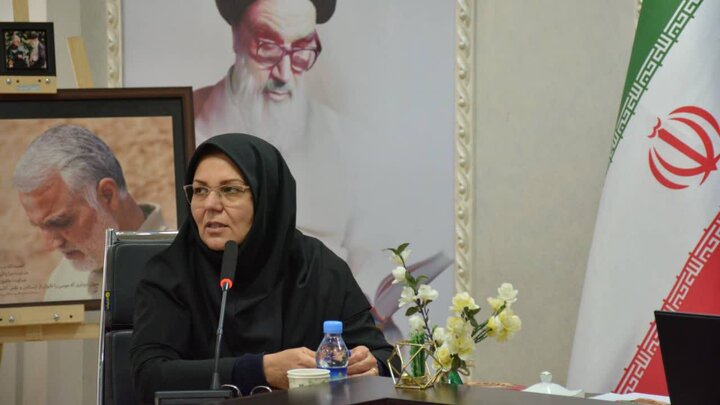 محمدی: نیمی از کتابخانههای کرمانشاه در جنگ رمضان فعال بودند