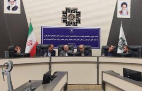 معاون وزیر اقتصاد: کالاهای اساسی به وفور عرضه میشود؛ نگرانی نداریم