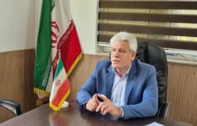 گیلانغرب به قطب کشت کلزا در استان کرمانشاه تبدیل شده است