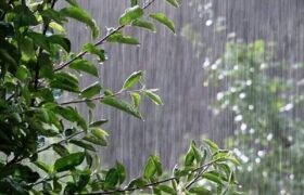 آسمان شمال و غرب تغییر کرد / هشدار بارش شدید در ۱۳ استان