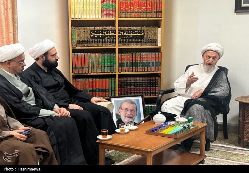 آیتالله سبحانی: شهیدلاریجانی فردی دلسوز به نظام، انقلاب و روحانیت بود