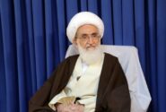 آیتالله نوریهمدانی: خطوط قرمز اعلام شده توسط رهبر انقلاب رعایت شود