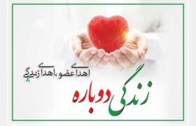 بیش از ۱۴۰۰ بیمار در شیراز با پیوند عضو به زندگی بازگشتند