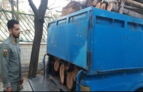 دستگیری قاچاقچیان چوب در بدر و پریشان؛ 3 تن چوب توقیف شد