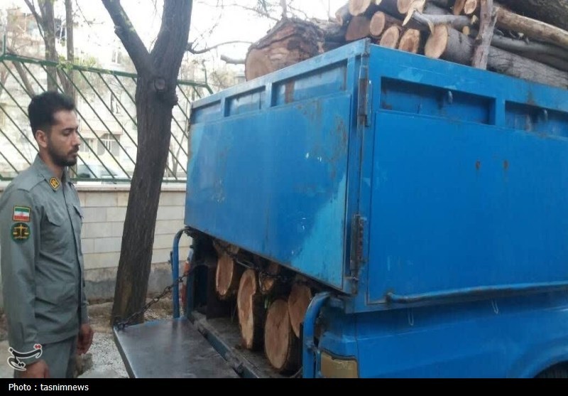 دستگیری قاچاقچیان چوب در بدر و پریشان؛ 3 تن چوب توقیف شد