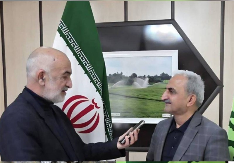 عبور خرید برگ سبز چای از مرز 26 هزار تن