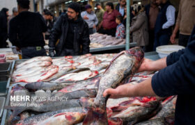 لزوم نظارتهای مستمر و دورهای بر بازار عرضه ماهی سلسله