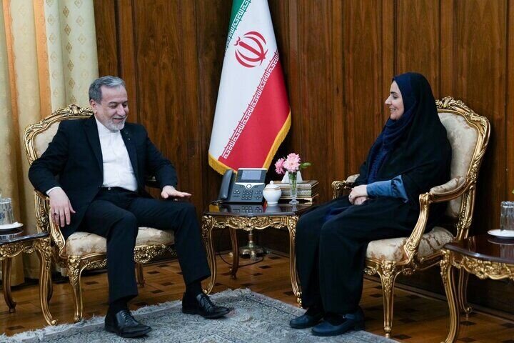 گفتگوی صادق و عراقچی درباره توسعه همکاریهای مشترک دو وزارتخانه