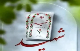 ۱۴ نیروی سپاه امروز در زنجان شهید شدند+ جزئیات