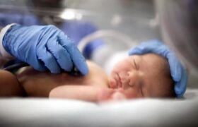 اجرای موفق مراکز «نفس» در کاشان؛ ۳۰۰ جنین از سقط عمدی نجات یافتند