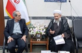 تحقق عدالت در سلامت در گرو اجرای دقیق نظام ارجاع و پزشک خانواده است