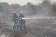 جزئیات سوختن ۱۰۰ اصله درخت در آتشسوزی مهیب مشهد