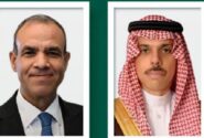 جزئیات گفتوگوی وزیران خارجه عربستان و مصر