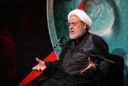 دستگاه ابی عبدالله فوق فقه است؛ پاسخ امام رضا به التماس دعا یک شیعه