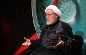 دستگاه ابی عبدالله فوق فقه است؛ پاسخ امام رضا به التماس دعا یک شیعه