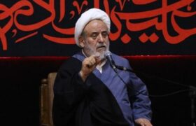راز زنده ماندن مومنان در برزخ؛ هدایت، مشروط به ولایت است