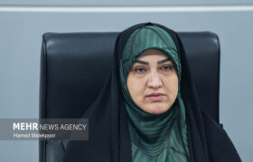 رفیعی: مجلس بر اجرای کامل مفاد تفاهم نظارت مستمر خواهد داشت