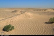 زنگ خطر پیشروی بیابان در سمنان؛ وقتی کویر منتظر بودجه نمیماند