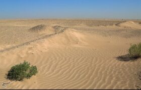 زنگ خطر پیشروی بیابان در سمنان؛ وقتی کویر منتظر بودجه نمیماند