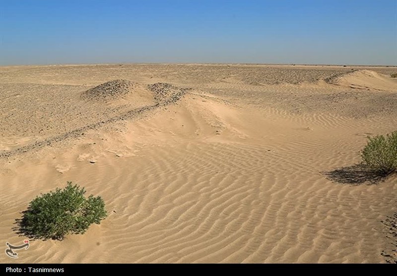زنگ خطر پیشروی بیابان در سمنان؛ وقتی کویر منتظر بودجه نمیماند