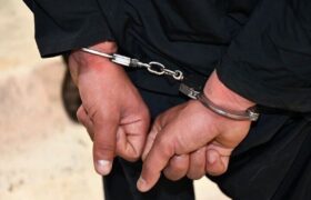 زورگیر پایتخت دستگیر شد