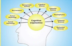شناخت (Cognition) چیست ؟