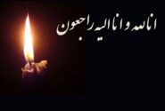 فوری / بهروز رضوی درگذشت