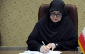 مهاجرانی: میدان و دیپلماسی در کنار هم از ایران دفاع میکنند