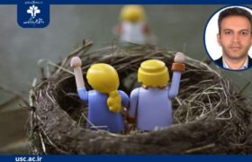 نتیجه یک پژوهش؛ آشیانه خالی، مفهومی فراتر از دوری