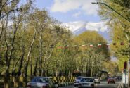نمایی از خیابان ولیعصر در دهه ۴۰ + عکس