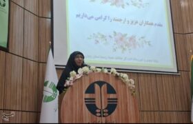 نگرانی رئیس سازمان محیط زیست از کاهش تعداد تشکلهای محیطزیستی!