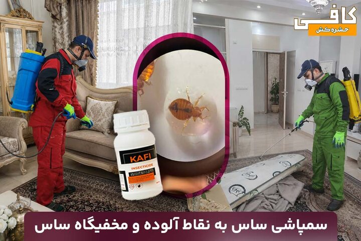آموزش سمپاشی ساس تختخوابی با سم قوی ساسکش بدون تخلیه منزل آموزش سمپاشی ساس تختخوابی با سم قوی ساسکش بدون تخلیه منزل